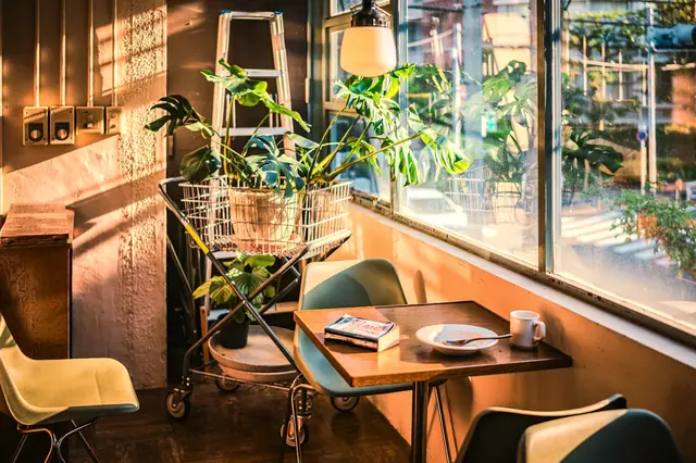 A café table set among plants